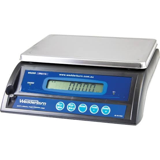 WS200 WEIGHT ONLY SCALE (High Accuracy)